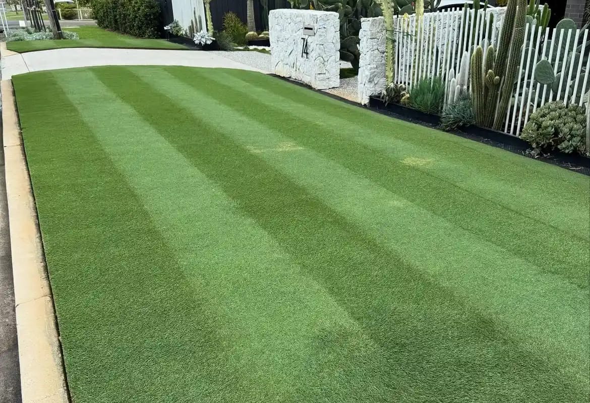 When does grass stop growing . 6 Signs to Watch